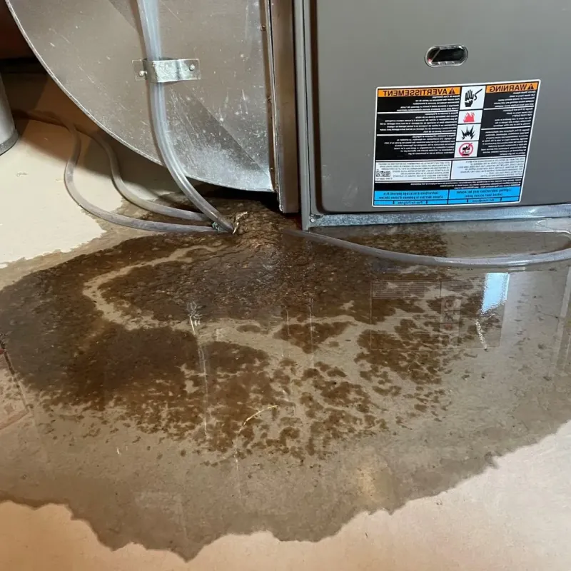 Pipe Burst and Leak Restoration in New Baltimore, VA